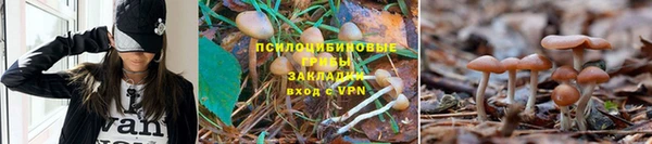 трава Балабаново